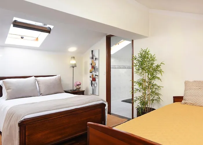 Stupendo Sun & 3br Ffoz Airconditionning Center Διαμέρισμα *